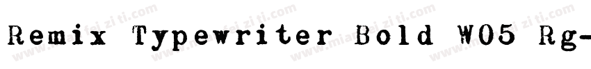 Remix Typewriter Bold W05 Rg字体转换